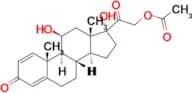 Prednisolone acetate
