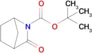3-Oxo-2-azabicyclo[2.2.1]heptan-2-carboxylic acid tert-butyl ester