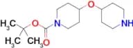 4-[(Piperidin-4-yl)oxy]piperidine-1-carboxylic acid tert-butyl ester