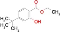 Ethyl 4-tert-butyl-2-hydroxybenzoate