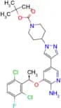 (R)-tert-butyl 4-(4-(6-amino-5-(1-(2,6-dichloro-3-fluorophenyl)ethoxy)pyridin-3-yl)-1H-pyrazol-1-y…