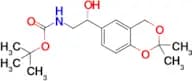 tert-Butyl (2R)-2-(2,2-dimethyl-4H-1,3-benzodioxin-6-yl)-2-hydroxyethylcarbamate