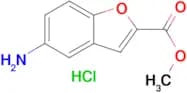 Methyl 5-amino-1-benzofuran-2-carboxylate hydrochloride