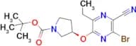 (R)-tert-butyl 3-((6-bromo-5-cyano-3-ethylpyrazin-2-yl)oxy)pyrrolidine-1-carboxylate