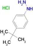 (4-(tert-Butyl)phenyl)hydrazine hydrochloride
