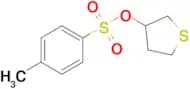 Tetrahydrothiophen-3-yl 4-methylbenzenesulfonate
