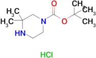 tert-Butyl 3,3-dimethylpiperazine-1-carboxylate hydrochloride