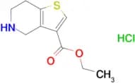 Ethyl 4,5,6,7-tetrahydrothieno[3,2-c]pyridine-3-carboxylate hydrochloride