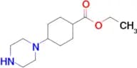 4-(Piperazin-1-yl)cyclohexanecarboxylic acid ethyl ester