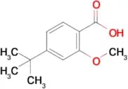 4-TERT-BUTYL-2-METHOXYBENZOIC ACID