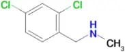 (2,4-DICHLOROPHENYL)-N-METHYLMETHANAMINE