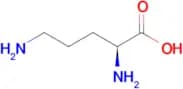 L-Ornithine