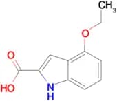 4-ETHOXY-1H-INDOLE-2-CARBOXYLIC ACID