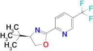 2-[(4R)-4-(1,1-DIMETHYLETHYL)-4,5-DIHYDRO-2-OXAZOLYL]-5-(TRIFLUOROMETHYL)PYRIDINE