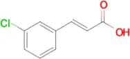 TRANS-3-CHLOROCINNAMIC ACID