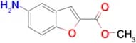 METHYL 5-AMINOBENZOFURAN-2-CARBOXYLATE