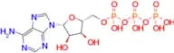 ADENOSINE TRIPHOSPHATE