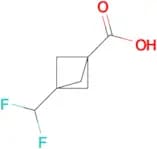 3-(DIFLUOROMETHYL)BICYCLO[1.1.1]PENTANE-1-CARBOXYLIC ACID