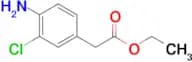 ETHYL 4-AMINO-3-CHLOROPHENYLACETATE