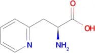 3-(2-PYRIDYL)-L-ALANINE