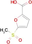 5-METHANESULFONYLFURAN-2-CARBOXYLIC ACID