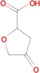 4-OXOTETRAHYDROFURAN-2-CARBOXYLIC ACID