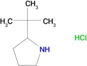 2-(TERT-BUTYL)PYRROLIDINE HCL