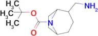 8-Azabicyclo[3.2.1]octane-8-carboxylic acid, 2-(aminomethyl)-, 1,1-dimethylethyl ester