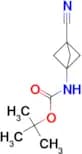 TERT-BUTYL (3-CYANOBICYCLO[1.1.1]PENTAN-1-YL)CARBAMATE