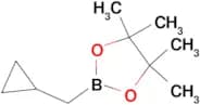 2-(CYCLOPROPYLMETHYL)-4,4,5,5-TETRAMETHYL-1,3,2-DIOXABOROLANE