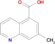 7-METHYLQUINOLINE-5-CARBOXYLIC ACID