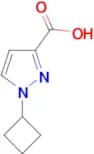 1-CYCLOBUTYL-1H-PYRAZOLE-3-CARBOXYLIC ACID