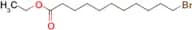 ETHYL 11-BROMOUNDECANOATE