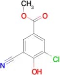 METHYL 3-CHLORO-5-CYANO-4-HYDROXYBENZOATE