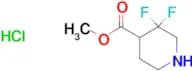 METHYL 3,3-DIFLUOROPIPERIDINE-4-CARBOXYLATE HYDROCHLORIDE
