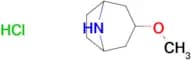 3-METHOXY-8-AZABICYCLO[3.2.1]OCTANE HYDROCHLORIDE