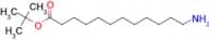 TERT-BUTYL 12-AMINODODECANOATE
