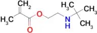 2-(TERT-BUTYLAMINO)ETHYL METHACRYLATE
