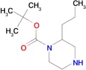 1-BOC-2-PROPYL-PIPERAZINE
