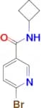6-BROMO-N-CYCLOBUTYLNICOTINAMIDE