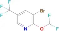 3-BROMO-2-(DIFLUOROMETHOXY)-5-(TRIFLUOROMETHYL)PYRIDINE