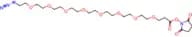 Azido-PEG8-NHS ester