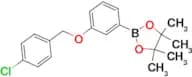 1,3,2-Dioxaborolane, 2-[3-[(4-chlorophenyl)methoxy]phenyl]-4,4,5,5-tetramethyl-