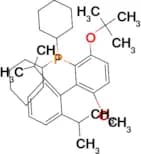 (3-(tert-Butoxy)-2′,6′-diisopropyl-6-methoxy-[1,1′-biphenyl]-2-yl)dicyclohexylphosphane