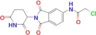 5-(2-Chloroacetamide) thalidomide