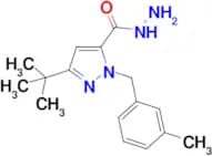 5-tert-Butyl-2-(3-methyl-benzyl)-2H-pyrazole-3-carboxylic acid hydrazide