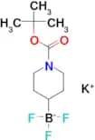 potassium {1-[(tert-butoxy)carbonyl]piperidin-4-yl}trifluoroboranuide