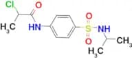 2-chloro-N-{4-[(isopropylamino)sulfonyl]phenyl}propanamide