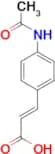 4-Acetamidocinnamic acid
