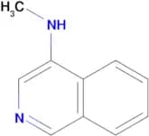 N-Methyl-4-isoquinolinamine